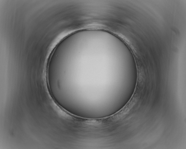 X0000112521478200908171344