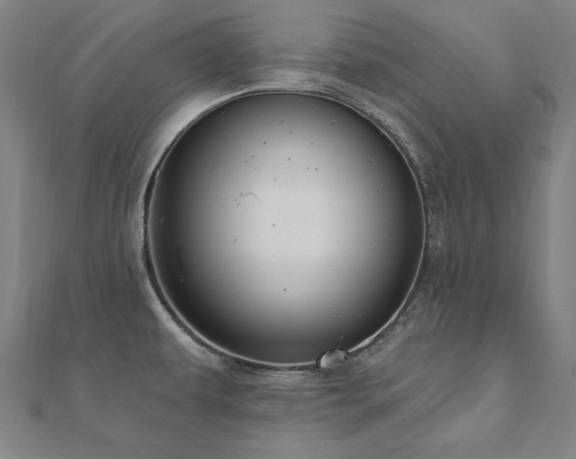 X0000112521479200908171344