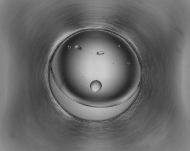 X0000112521480200908171344