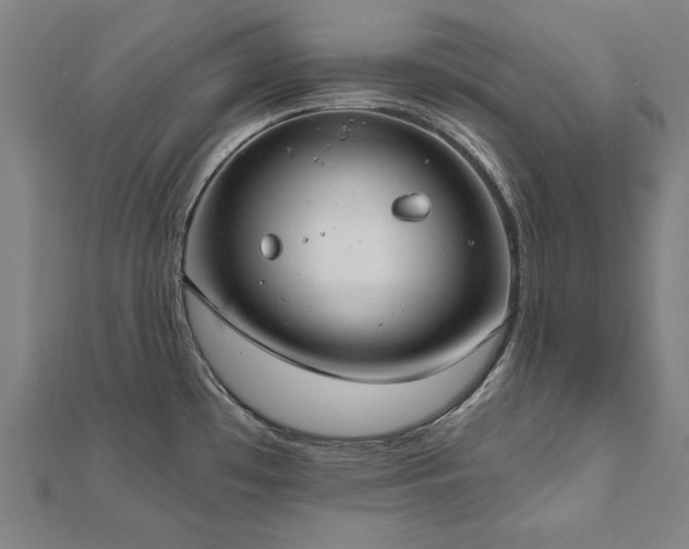 X0000112521481200908171344