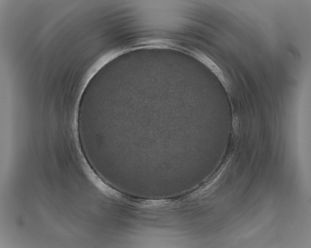 X0000112521482200908171344
