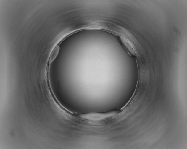 X0000112521484200908171344