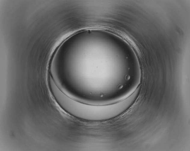 X0000112521485200908171344