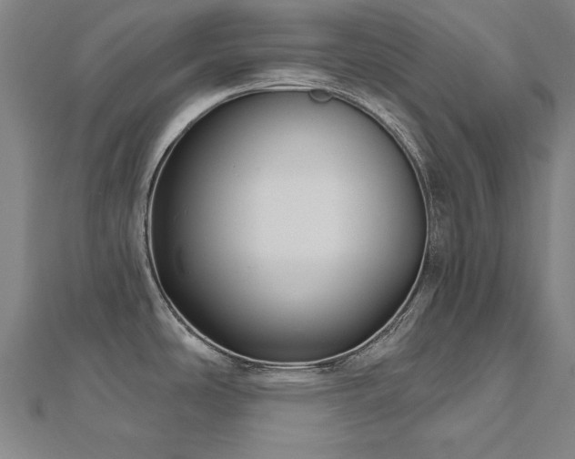 X0000112521486200908171344