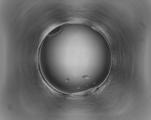 X0000112521487200908171344