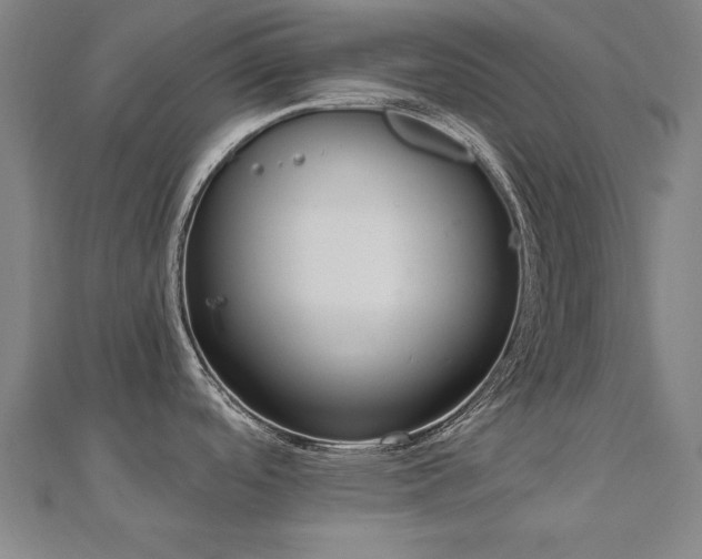 X0000112521488200908171344