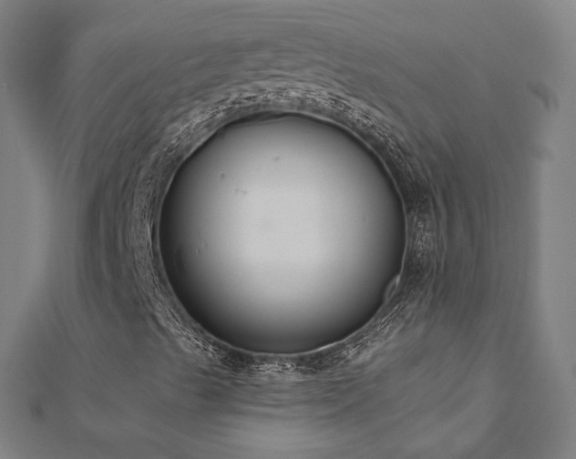 X0000112521489200908171343