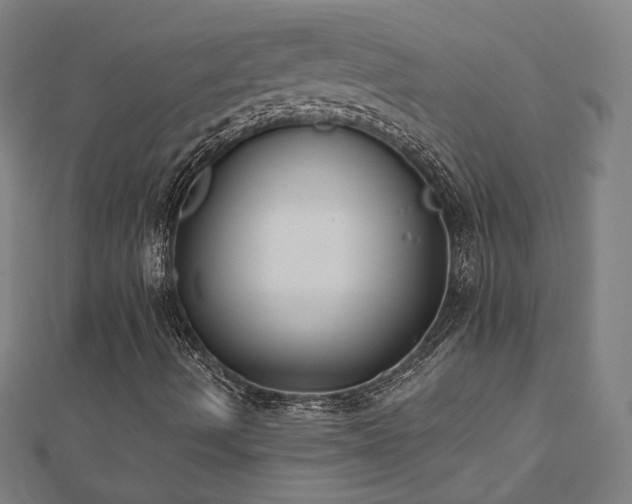 X0000112521490200908171343