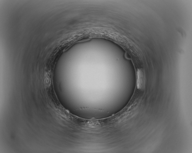 X0000112521491200908171343