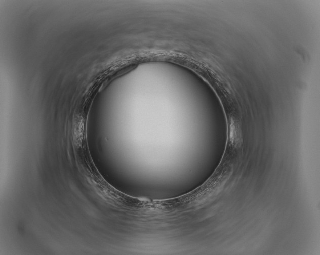 X0000112521492200908171343