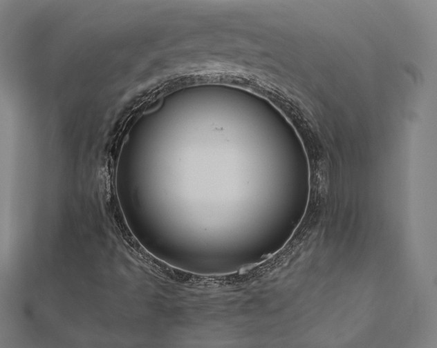 X0000112521493200908171343