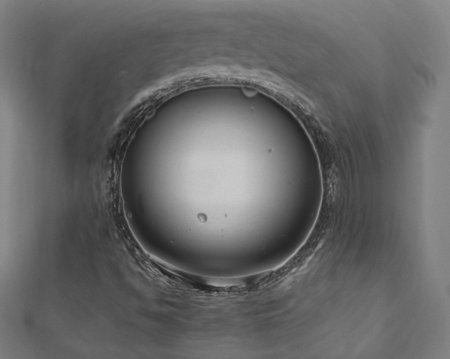 X0000112521494200908171343