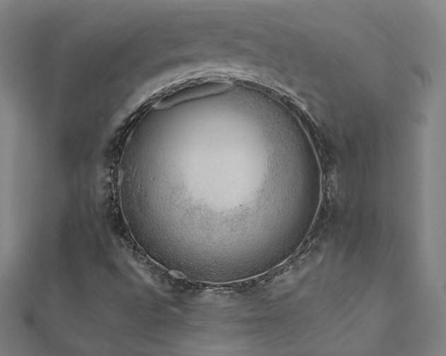 X0000112521496200908171343