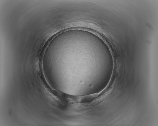 X0000112521497200908171343