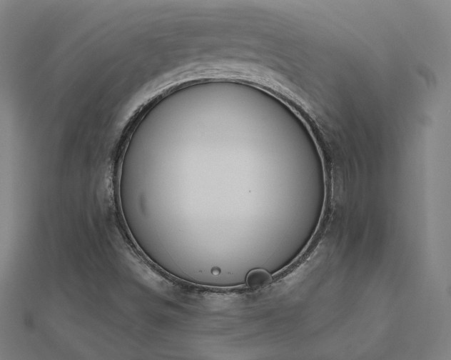 X0000112521498200908171343