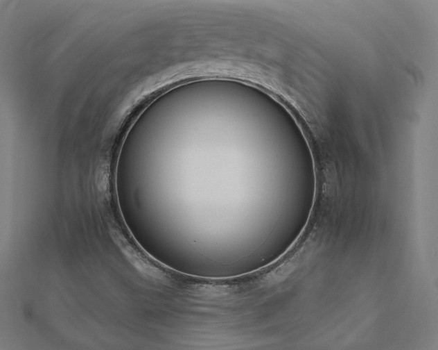 X0000112521499200908171343