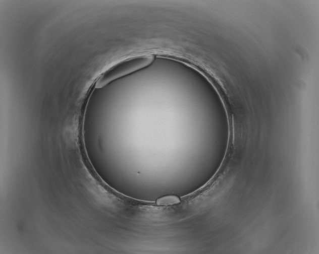 X0000112521500200908171343
