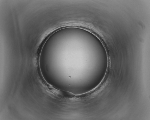 X0000112521501200908171343