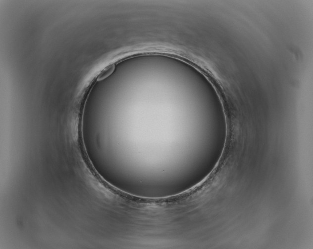 X0000112521504200908171343