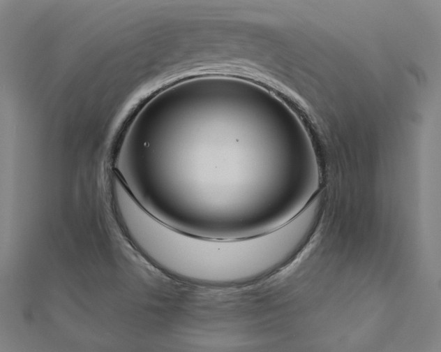 X0000112521506200908171343