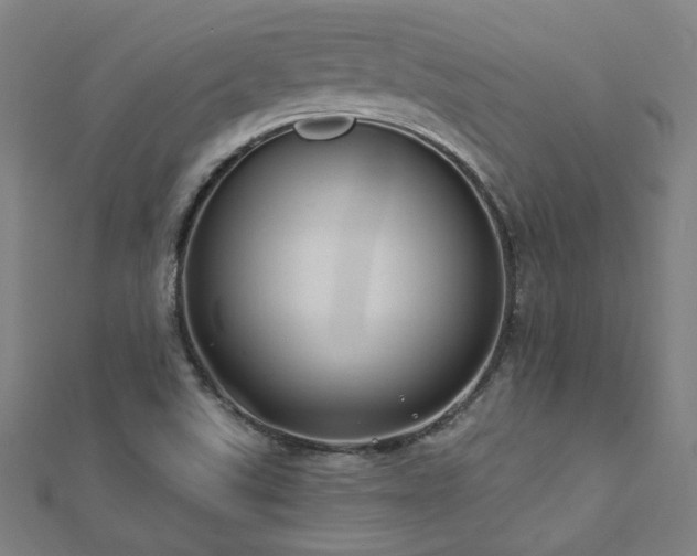 X0000112521507200908171343