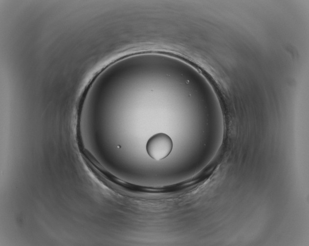 X0000112521508200908171343