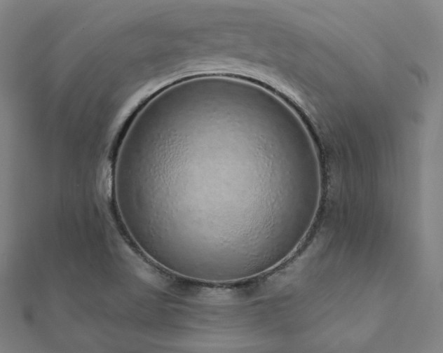 X0000112521509200908171343