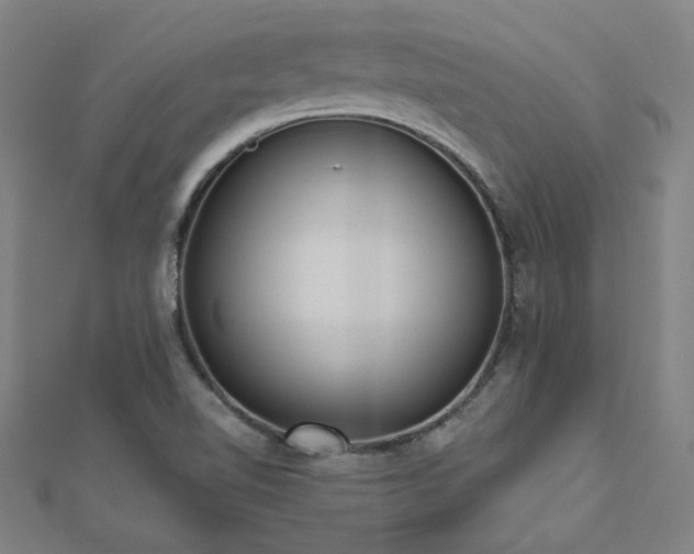 X0000112521510200908171344