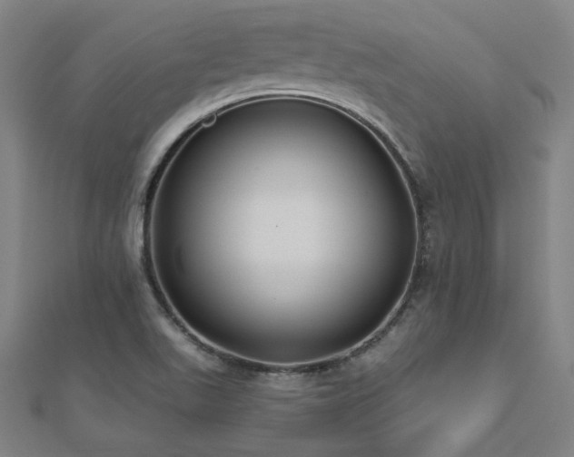X0000112521511200908171344