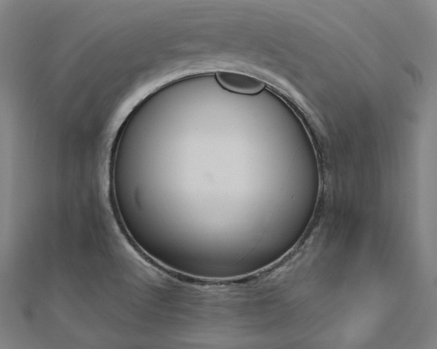 X0000112521512200908171344