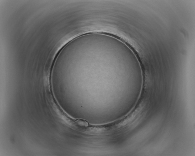 X0000112521513200908171344