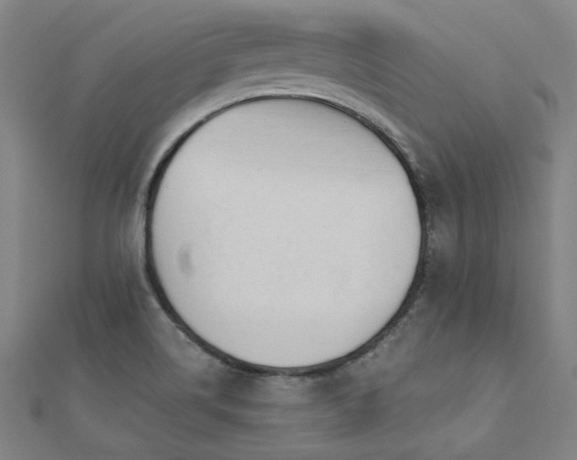 X0000112521514200908171344