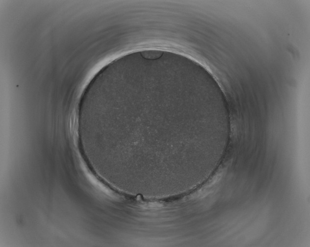 X0000112521515200908171344