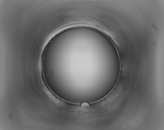 X0000112521516200908171344
