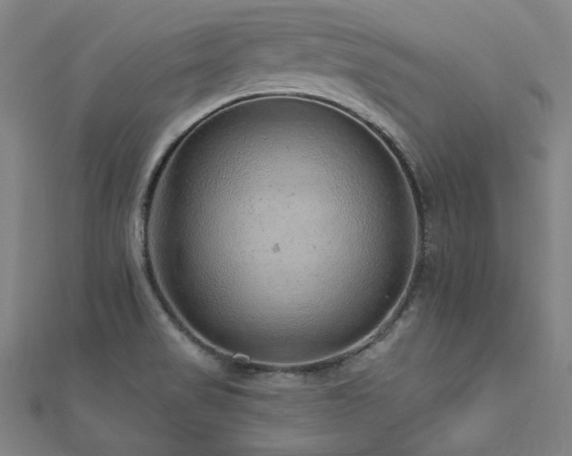 X0000112521517200908171344