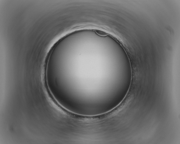 X0000112521518200908171344