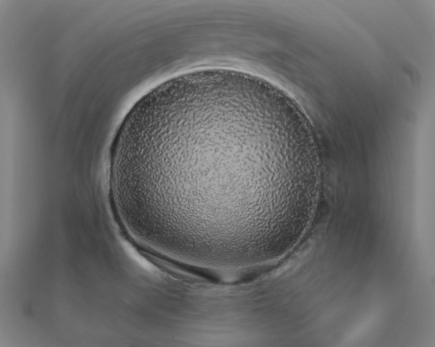 X0000112521519200908171344