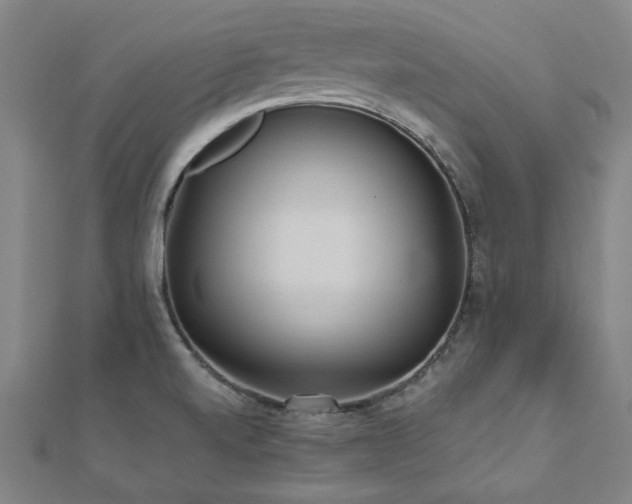 X0000112521520200908171344