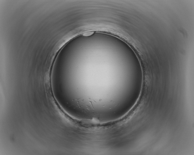 X0000112521521200908171344