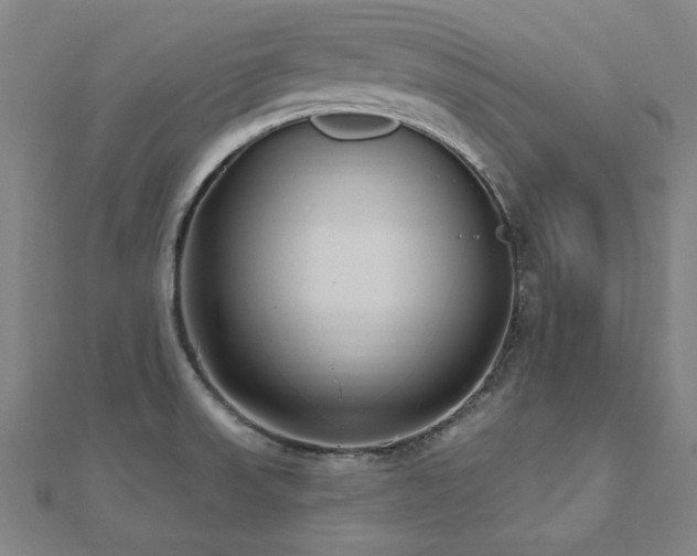 X0000112521523200908171344