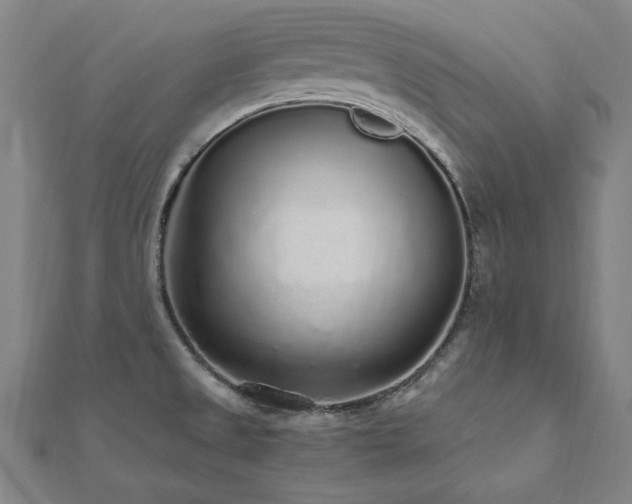 X0000112521525200908171344