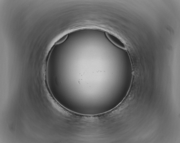 X0000112521526200908171344