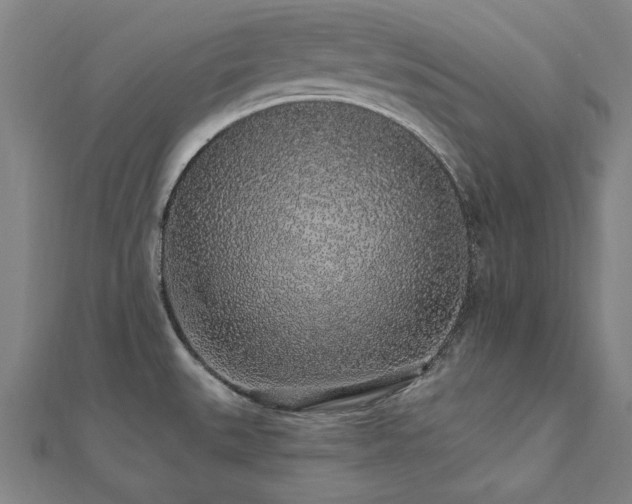 X0000112521527200908171344