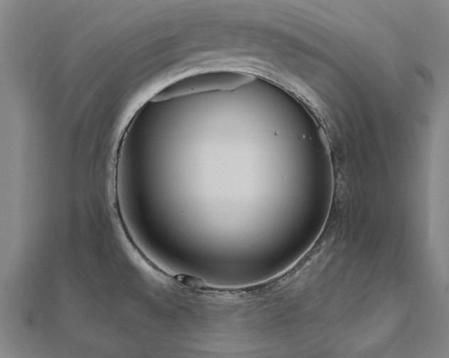 X0000112521528200908171344