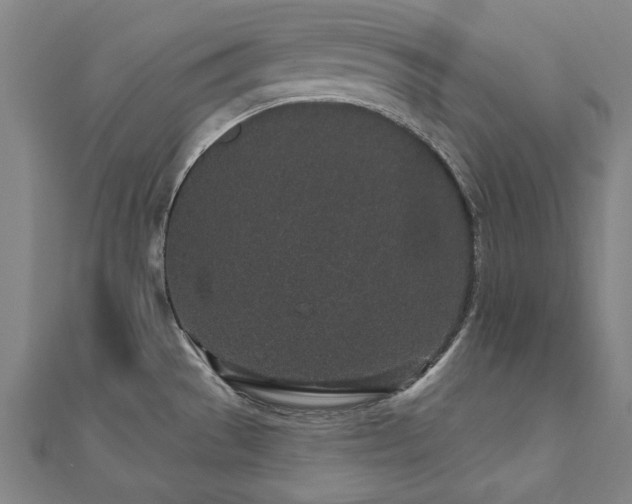 X0000112521529200908171344