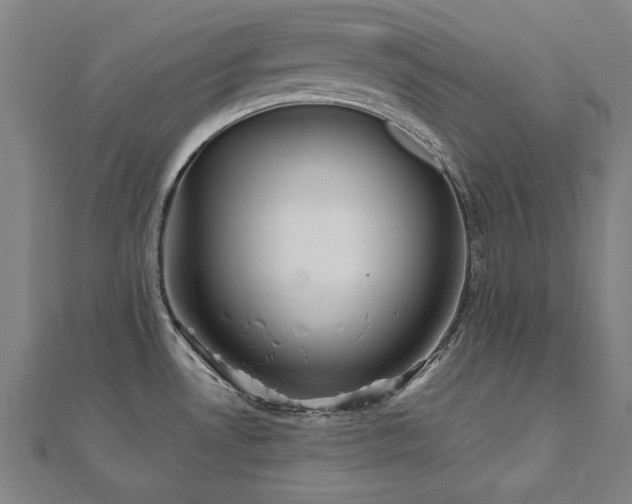 X0000112521530200908171344