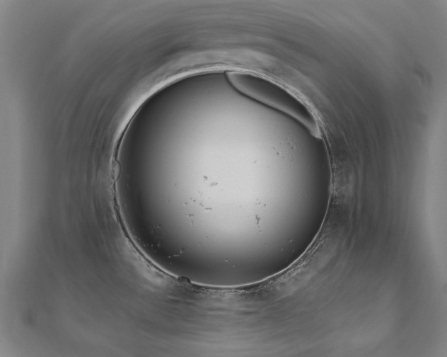 X0000112521532200908171344