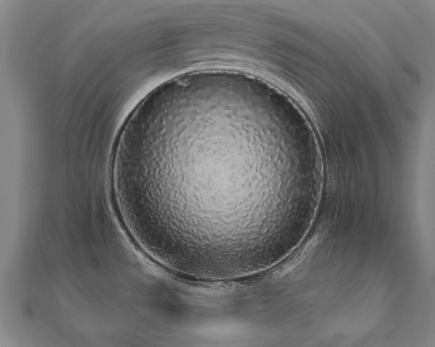 X0000112521533200908171344