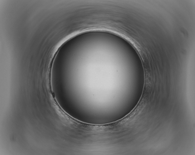 X0000112521534200908171344