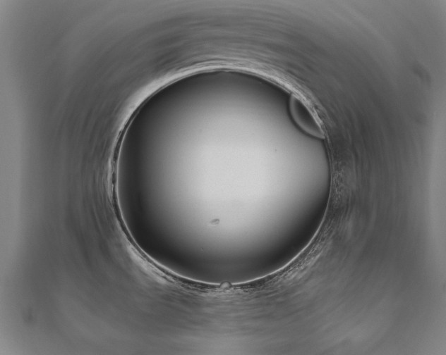 X0000112521535200908171344